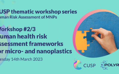 CUSP workshop on human health risk assessment frameworks for micro- and nanoplastics